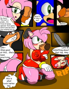 Amy Rose Paybacks A Rose - Page 5
