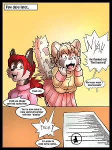 A+ 1 - Page 13