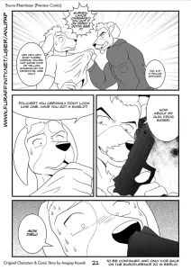 Bruno Rheinbear - Page 22