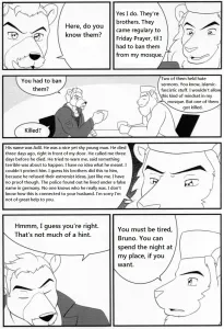 Bruno Rheinbear - Page 27