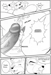 Bruno Rheinbear - Page 37
