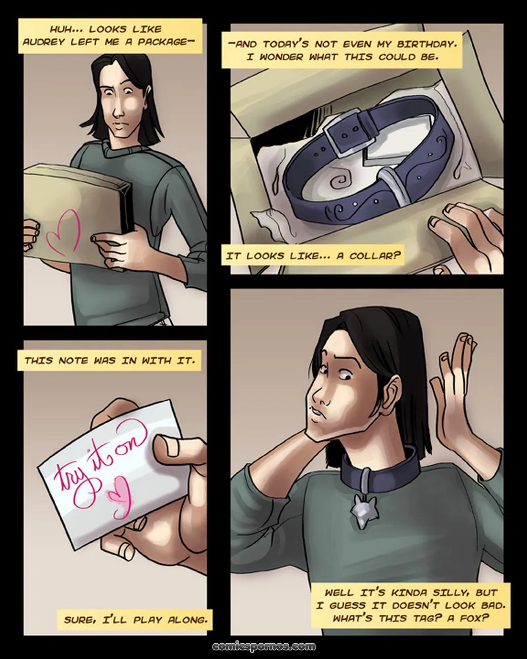 Naughty Delivery: A Secret Package Comic - Page 1