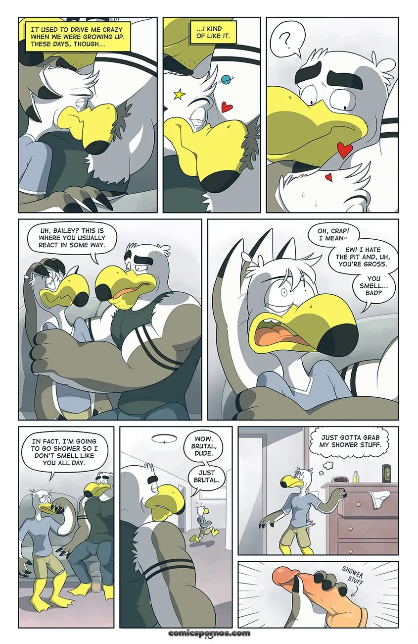 Seagull Sexcapades: A Coastal Comedy - Page 11
