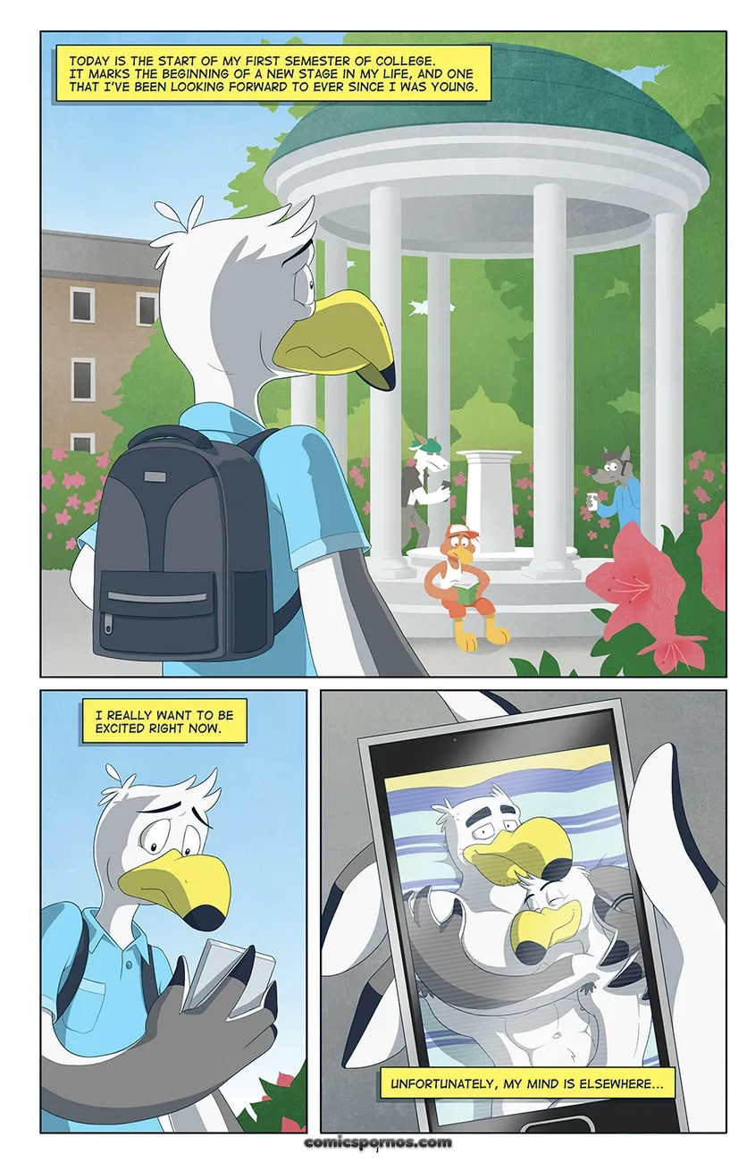 Seagull Sexcapades: A Coastal Comedy - Page 2