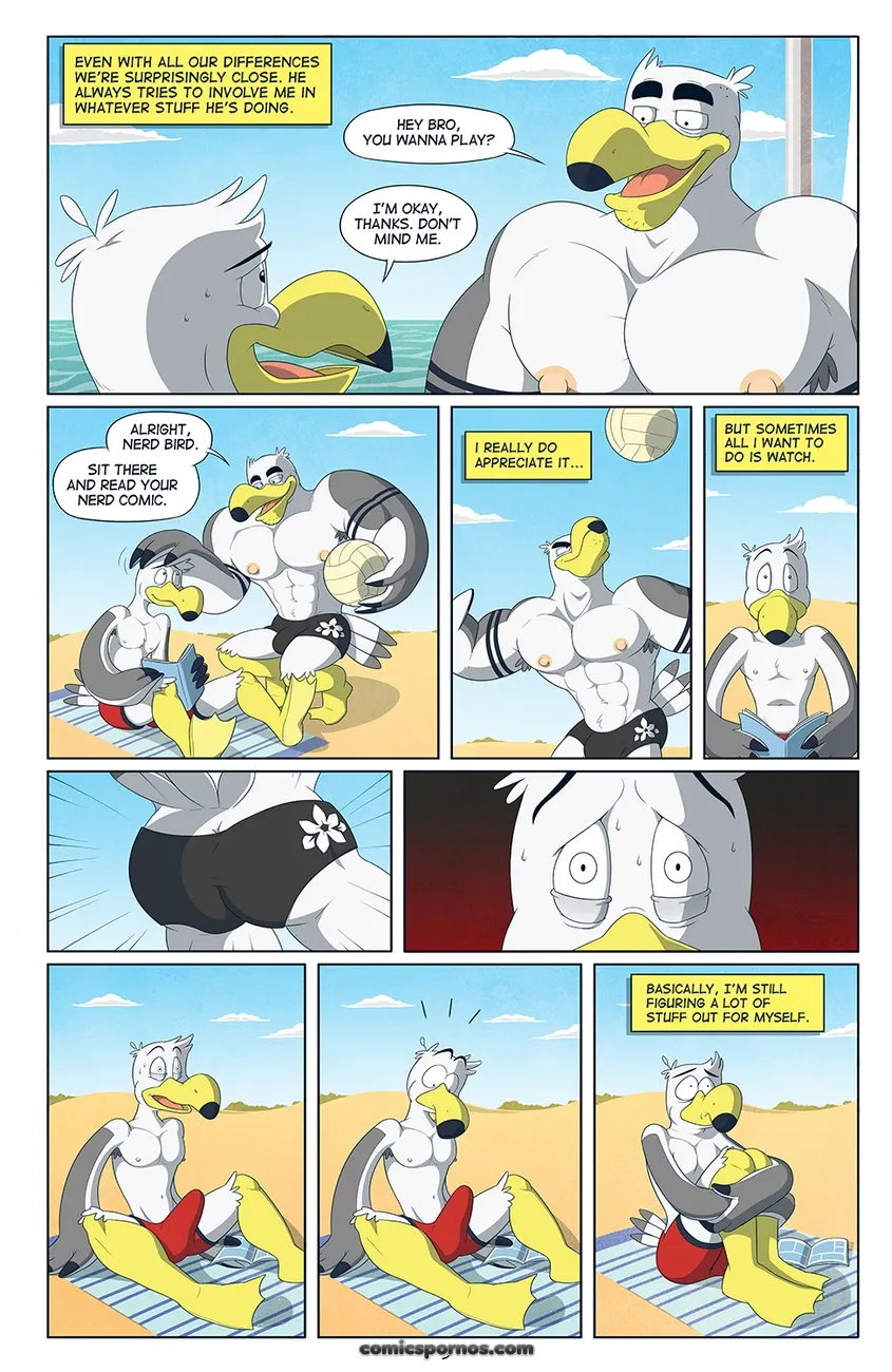 Seagull Sexcapades: A Coastal Comedy - Page 4