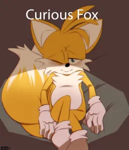 Curious Fox - Page 1