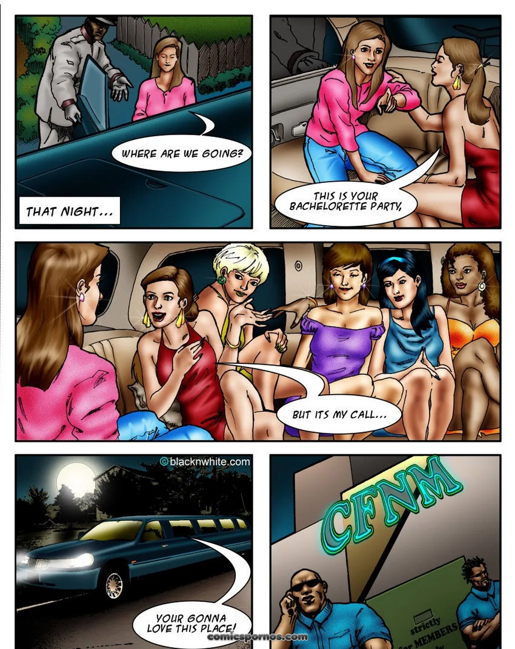 Brides & Blacks 1 - The Bachelorette Party - Page 4